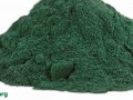 Update on Spirulina