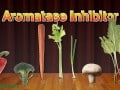 Vegetables versus breast cancer