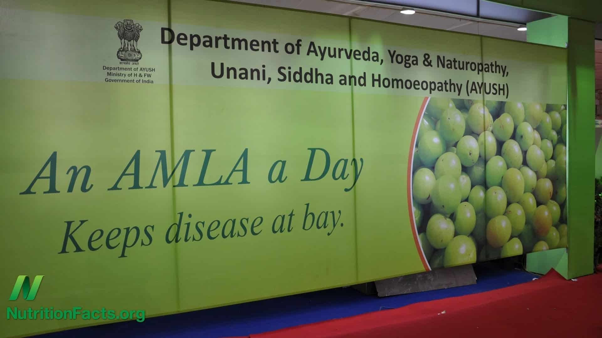 Amla versus cancer cell invasion