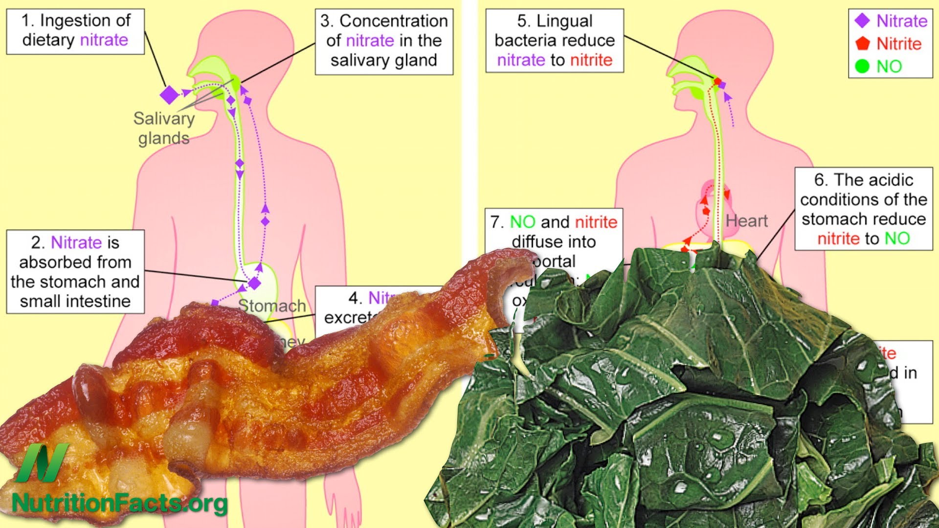 Is bacon good or is spinach bad?