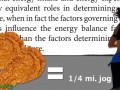 Diet vs. Exercise for Weight Loss