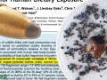 Filled Full of Lead