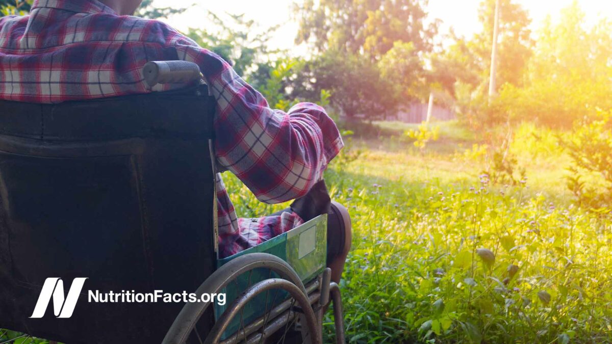 person sitting in wheelchair in a garden