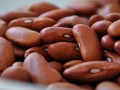 Phytates for the Prevention of Osteoporosis