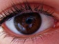 Dietary Prevention of Age-Related Macular Degeneration