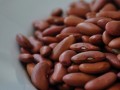 Phytates for the Prevention of Cancer