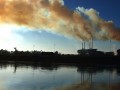 Alkylphenol Endocrine Disruptors and Allergies