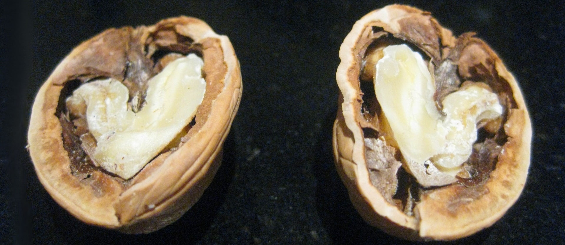 Nueces y la función arterial