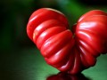 Inhibiting Platelet Activation with Tomato Seeds