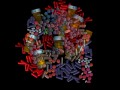 Do Antidepressant Drugs Really Work?