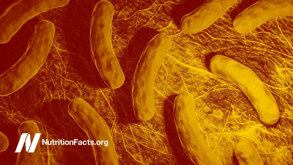 illustration of bacteria