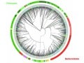 Microbiome: The Inside Story