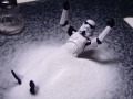 3. Sodium Skeptics Try to Shake Up the Salt Debate