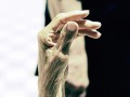 2. How to Counter the Inflammation of Aging