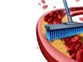 Plant-Based Treatment for Angina