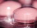 How Did Doctors Not Know About the Risks of Hormone Therapy?