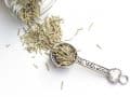 Benefits of Rosemary for Brain Function