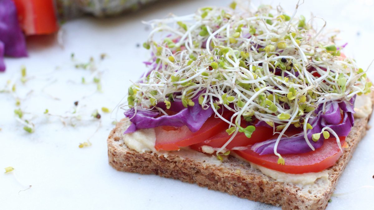 Best Food for Autism