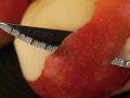 Apple Peels Put to the Test for Chronic Joint Pain