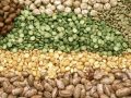 Benefits of Beans for Peripheral Vascular Disease