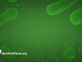 illustration of cells