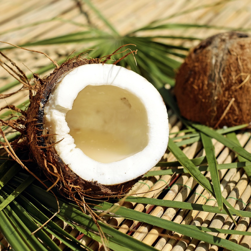 Coconuts