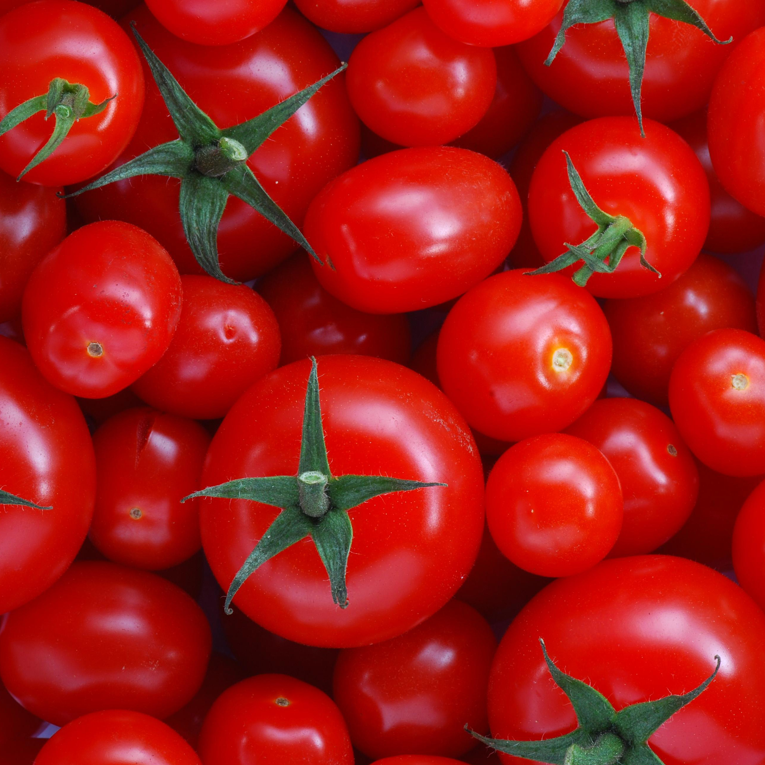 Tomates