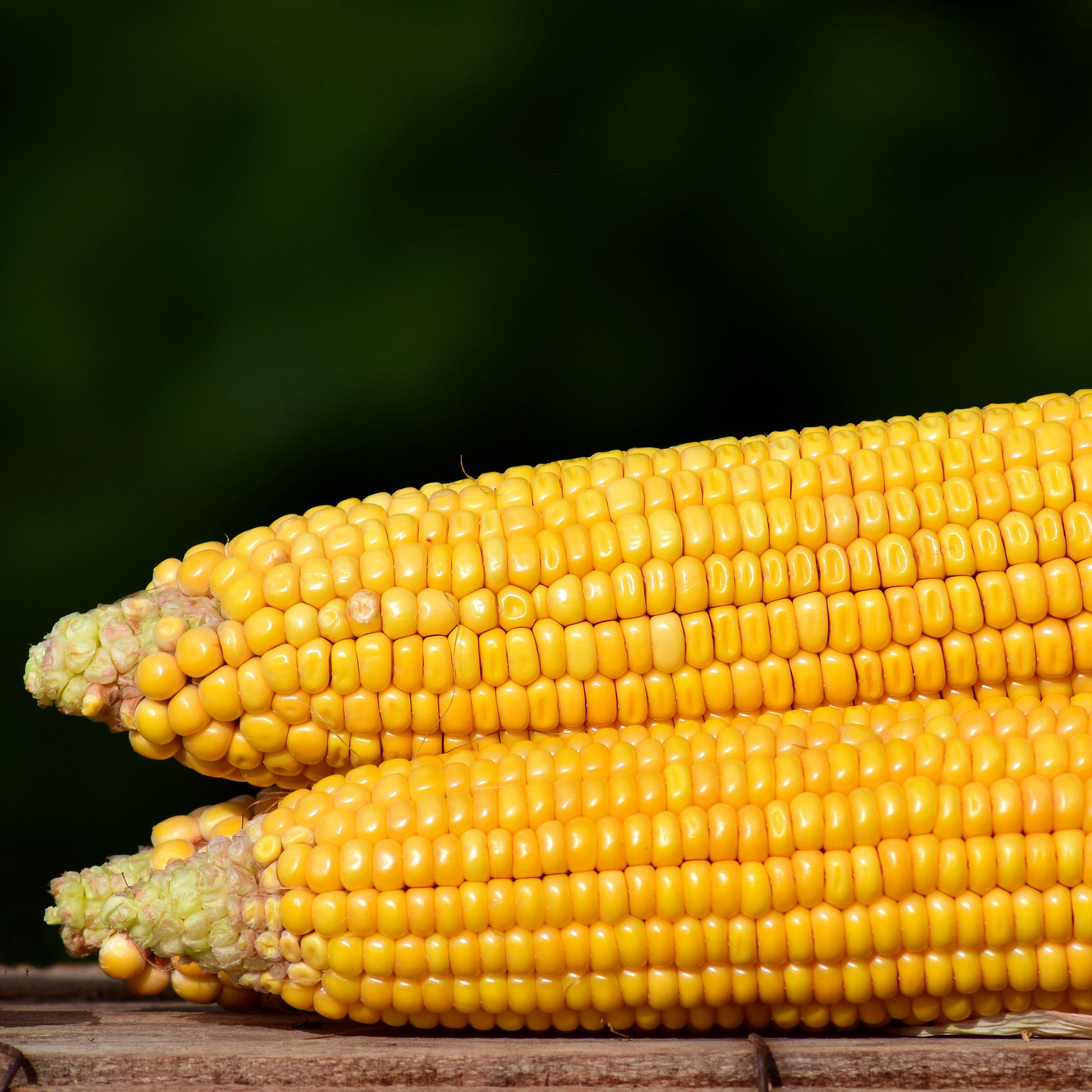 Corn