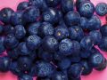 Blueberries for a Diabetic Diet and DNA Repair