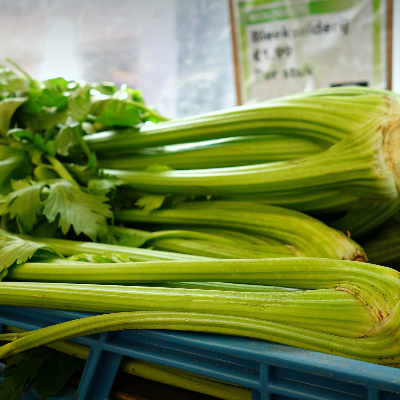 Celery