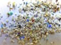 How Much Microplastic Is Found in Fish Fillets?