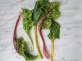 Kidney Stones and Spinach, Chard, and Beet Greens Don’t Eat Too Much