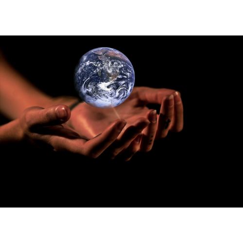Medio Ambiente