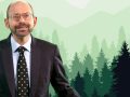 Why Does Forest Bathing Boost Natural Killer Cell Activity?
