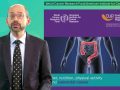 Does Heme Iron Cause Cancer?
